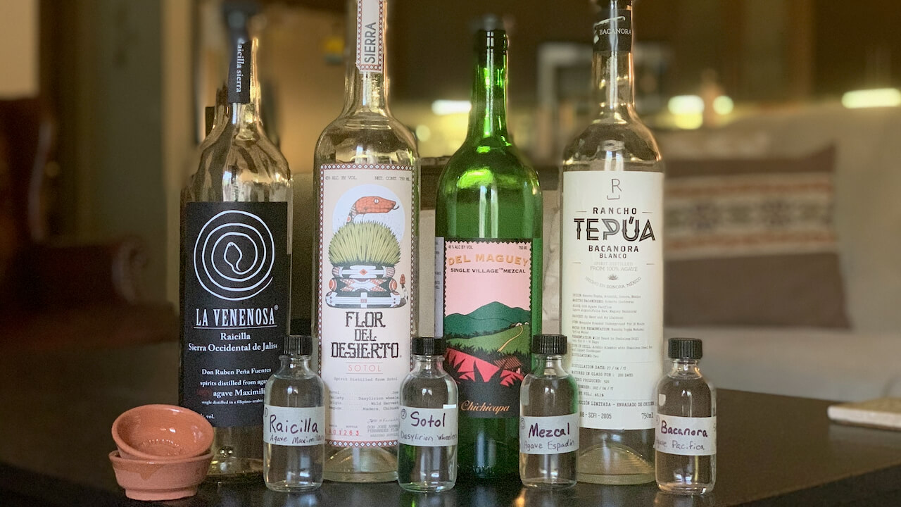 Types of Mezcal